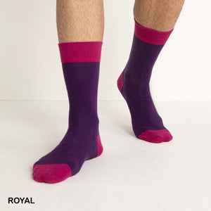 Snug Socks - Royal